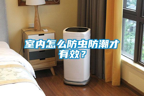 室內怎么防蟲防潮才有效?