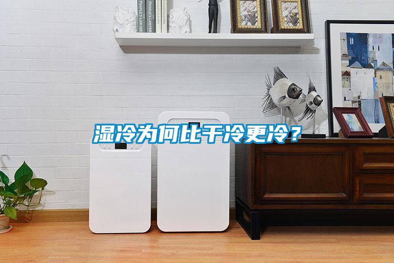 濕冷為何比干冷更冷？