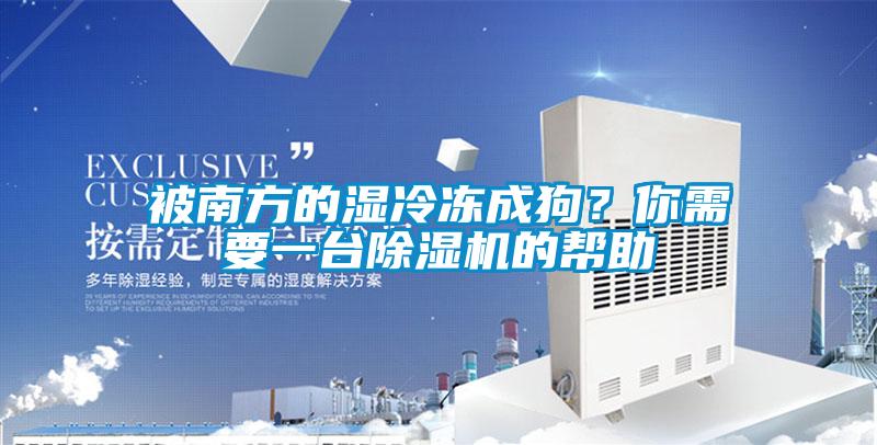 被南方的濕冷凍成狗？你需要一臺除濕機的幫助