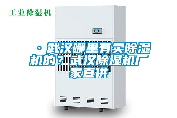 ·武漢哪里有賣(mài)除濕機(jī)的?武漢除濕機(jī)廠家直供