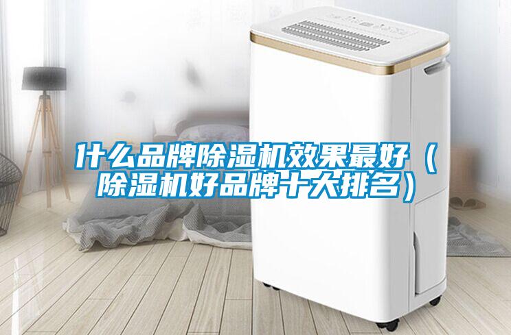 什么品牌除濕機(jī)效果最好(除濕機(jī)好品牌十大排名)